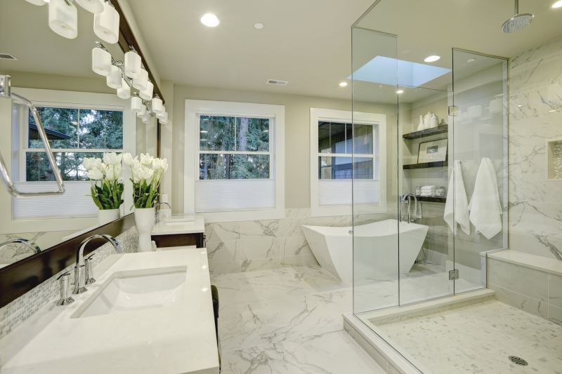 Wide Bathroom Spaces